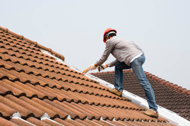 Best Sheet Metal Roofing  in Sixteen Mile Stand, OH